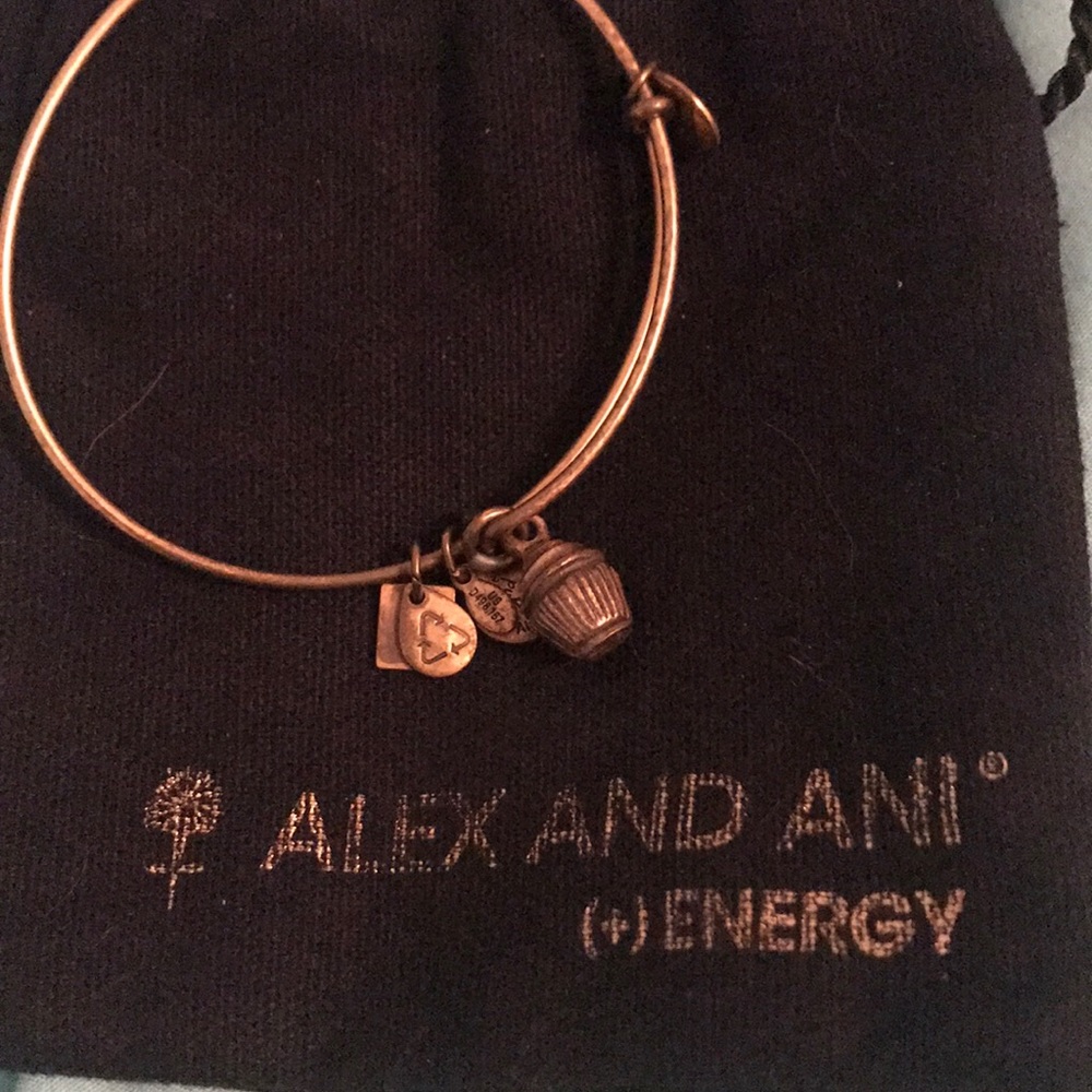 Alex and Ani cupcake charm bracelet